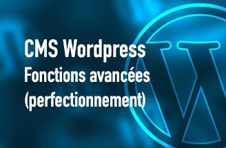 CMS Wordpress : utiliser les fonctions avancées (perfectionnement)